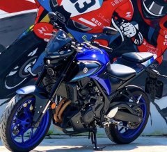 Yamaha MT-03 320 cc - ფოტო 5