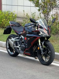 Kayo 321RR 320 cc - ფოტო 4