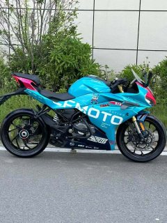 CFMOTO 250SR - ფოტო 3