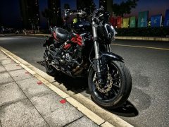 Benelli TNT 300 / BN 302S - ფოტო 1