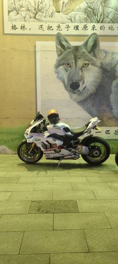Ducati Panigale V4 R 998 cc - photo 3