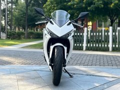 Kayo 250RR Thornbird - фото 2
