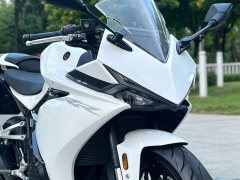 Kayo 250RR Thornbird - фото 3