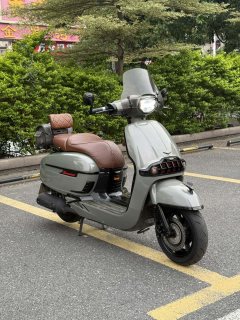 Weiduoliya Sixties 300i - photo 1