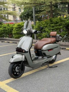 Weiduoliya Sixties 300i - photo 3