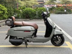 Weiduoliya Sixties 300i - photo 4