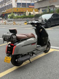 Weiduoliya Sixties 300i - photo 6