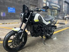 Benelli Leoncino 250 - ფოტო 3