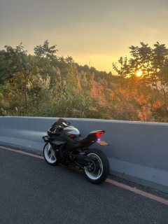 CFMOTO 450SR - ფოტო 3