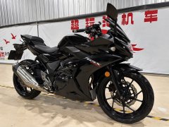 Haojue Suzuki GSX250R - фото 2