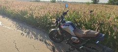 Sundiro Honda CBF190TR - ფოტო 5
