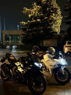 Haojue Suzuki GSX250R - фото 6