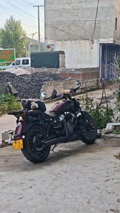 Benda Graystone 250 - photo 5