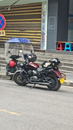 Benda Graystone 250 - photo 7