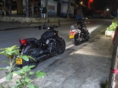 Benda Graystone 250 - photo 1