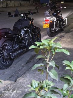 Benda Graystone 250 - photo 2