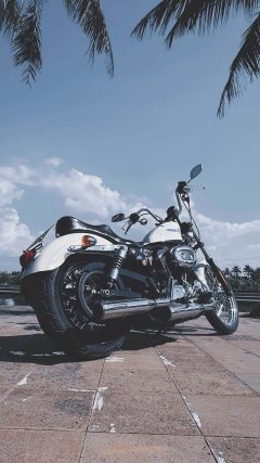 Harley-Davidson 1200 Custom - ფოტო 1