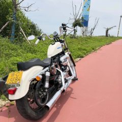 Harley-Davidson 1200 Custom - ფოტო 2