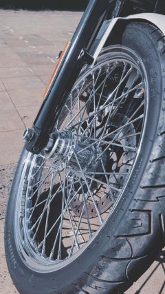 Harley-Davidson 1200 Custom - ფოტო 4