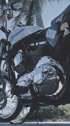 Harley-Davidson 1200 Custom - ფოტო 6