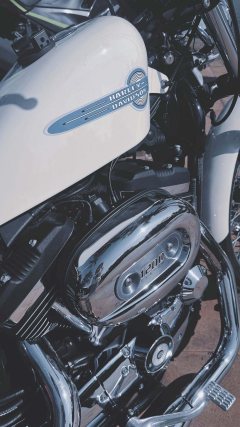 Harley-Davidson 1200 Custom - ფოტო 7