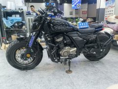 Cyclone AQS401 400 cc - ფოტო 5