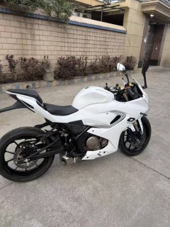 QJMOTOR SRK 250 - ფოტო 3
