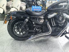 Harley-Davidson Forty-Eight athlete 1200 cc - ფოტო 2