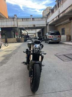 Benelli 502C 500 cc - ფოტო 5