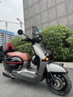 Weiduoliya Sixties 150Si - ფოტო 2