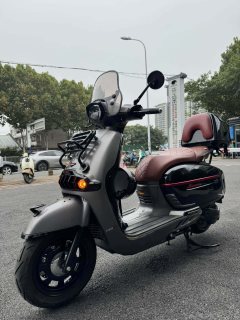 Weiduoliya Sixties 150Si - ფოტო 4