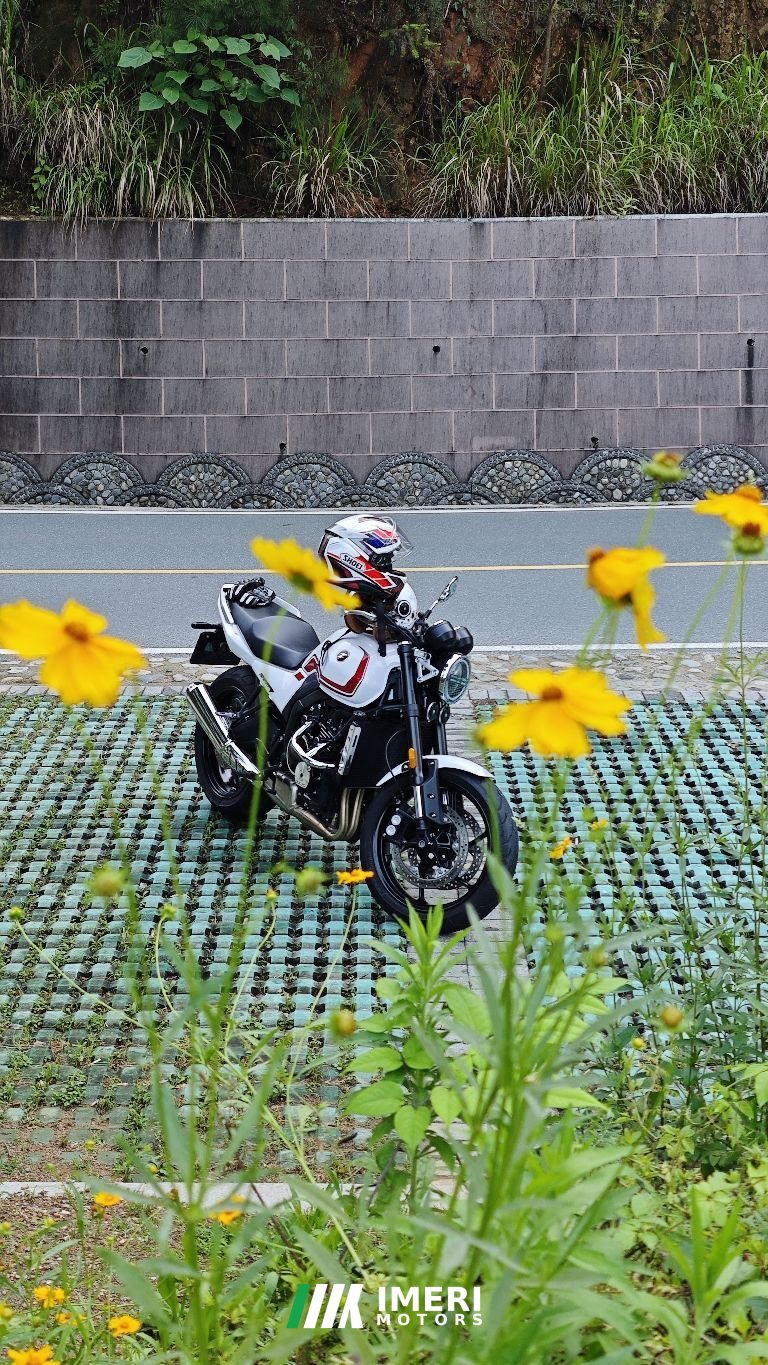 2026 Zhangxue Motorcycles 500F