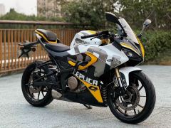 QJMOTOR SRK 250 - фото 3