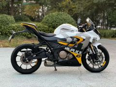 QJMOTOR SRK 250 - фото 4