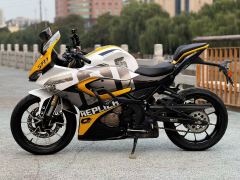 QJMOTOR SRK 250 - фото 6