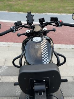 Benda Chinchilla 350 - photo 8
