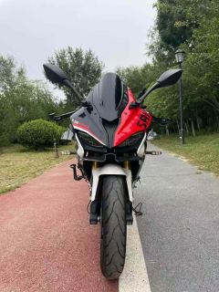 QJMOTOR SRK 250 - фото 2