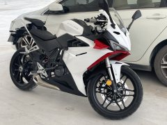 Cyclone RC250 - photo 3