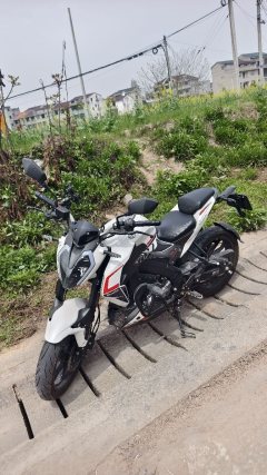 Benelli Little Xunlong BN150S - ფოტო 1