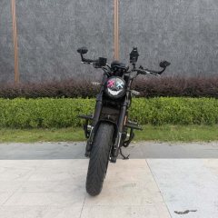 Benelli Lion Cub Leoncino 500 - ფოტო 2