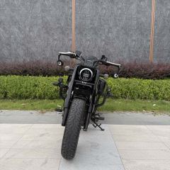 Cyclone RA600 560 cc - ფოტო 2