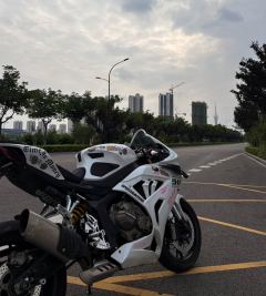 QJMOTOR Race 800 - ფოტო 3