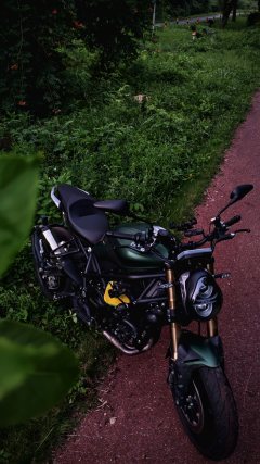 Benelli 902S 900 cc - фото 5