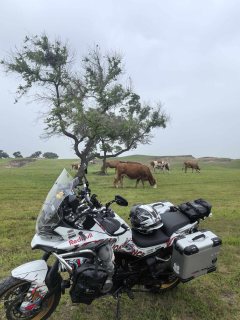 CFMOTO 800MT - ფოტო 2