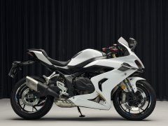 QJMOTOR Race 800 - ფოტო 2