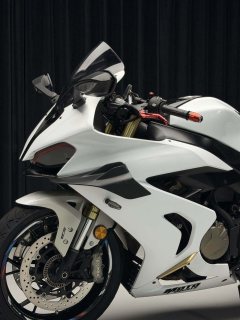 QJMOTOR Race 800 - ფოტო 6