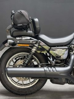 Harley-Davidson Nightster 975 cc - ფოტო 3