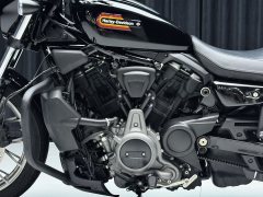 Harley-Davidson Nightster 975 cc - ფოტო 7