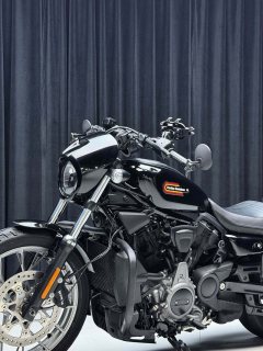 Harley-Davidson Nightster 975 cc - ფოტო 8
