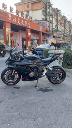 QJMOTOR Sai 600 680 cc - ფოტო 3